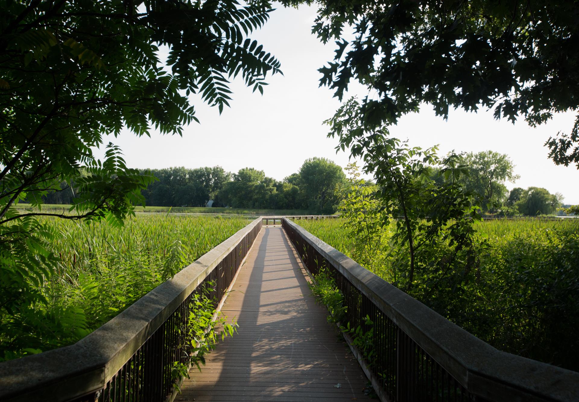 Minnehaha Headwaters