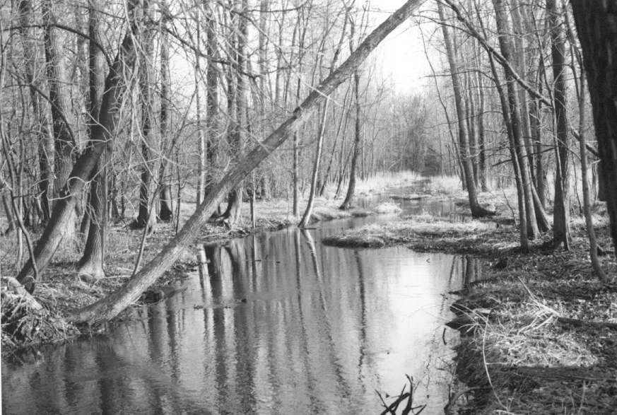 Melissa Sackett_Creek, River Near Linner Park