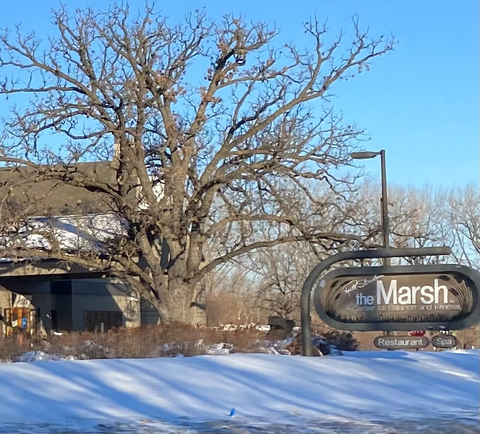 The Marsh building with snow