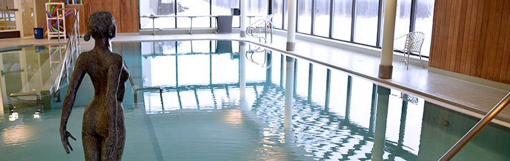 Pool with exterior windows and statue