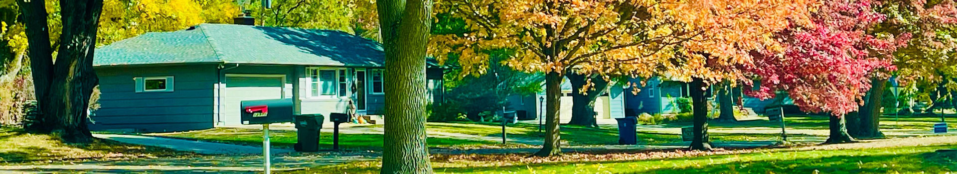 Houses on street with leaves