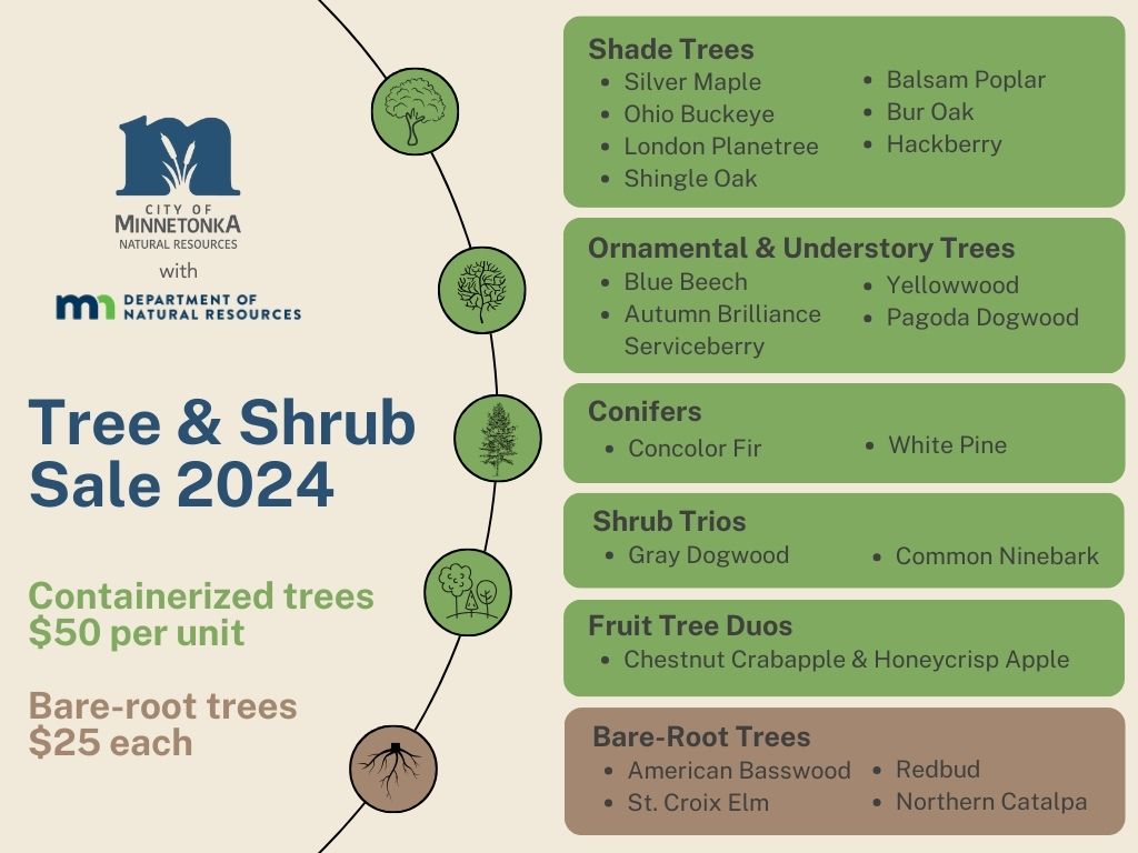 2024 tree sale list