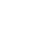 Fire badge