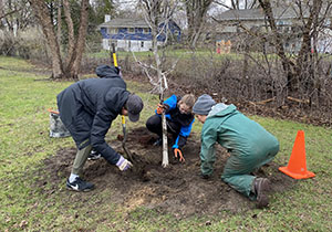 People planting a tree